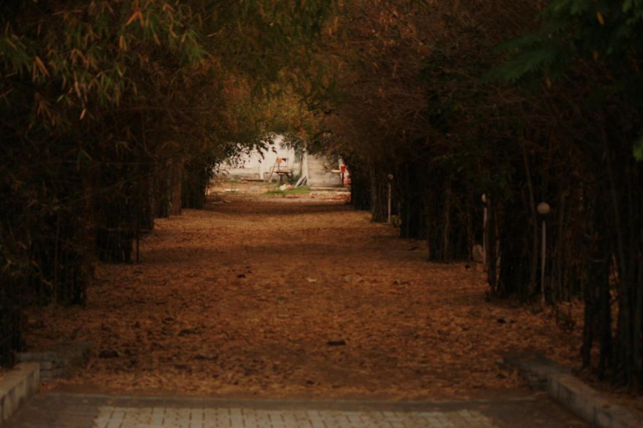 Vividearth Resorts Bandipur Bagian luar foto