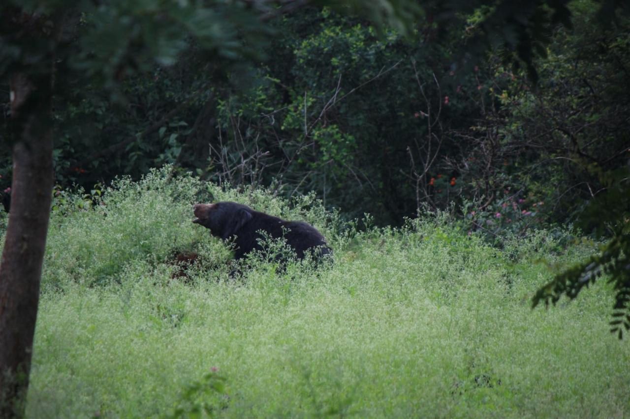 Vividearth Resorts Bandipur Bagian luar foto