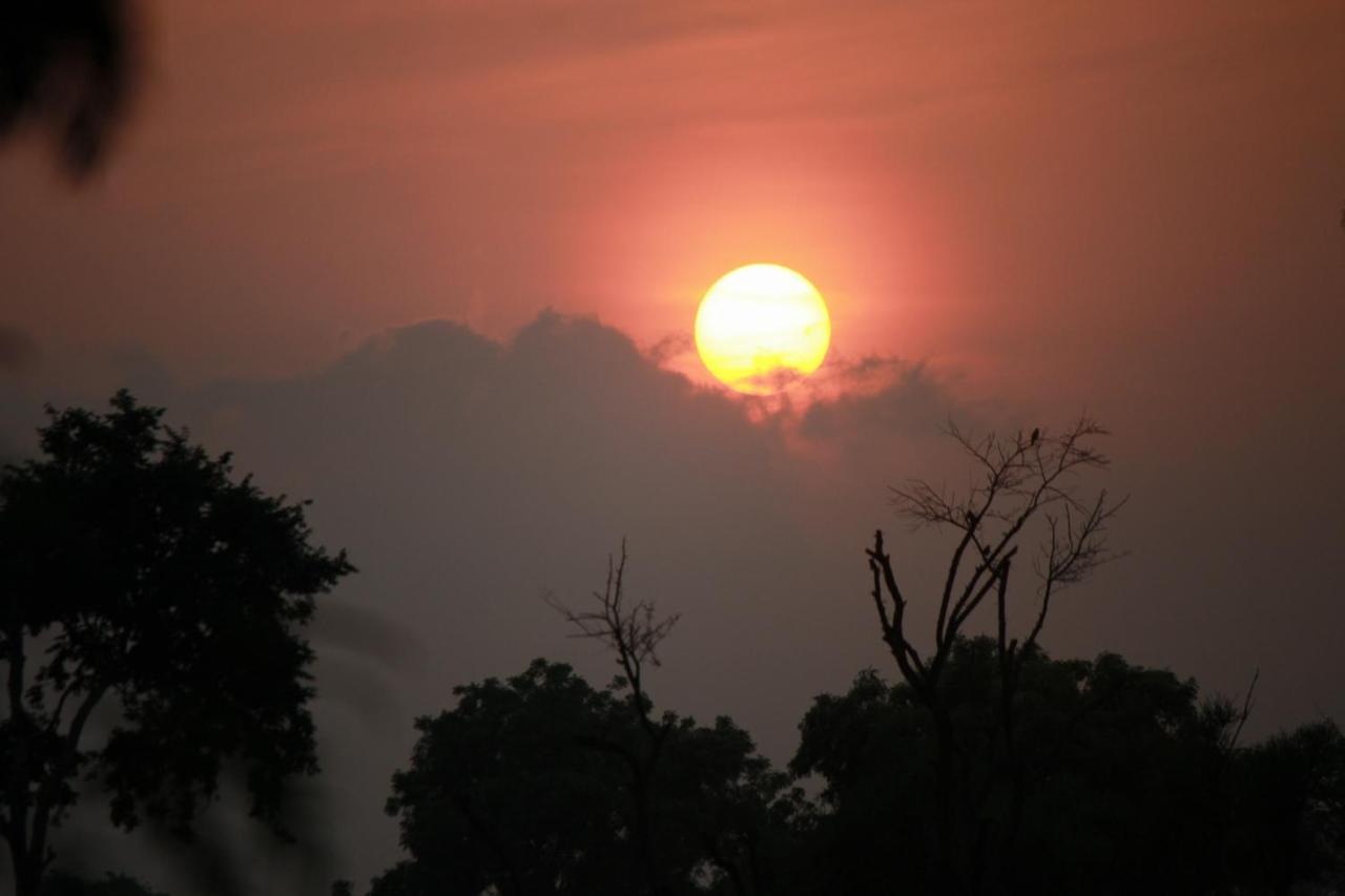 Vividearth Resorts Bandipur Bagian luar foto