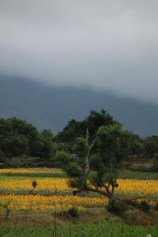 Vividearth Resorts Bandipur Bagian luar foto